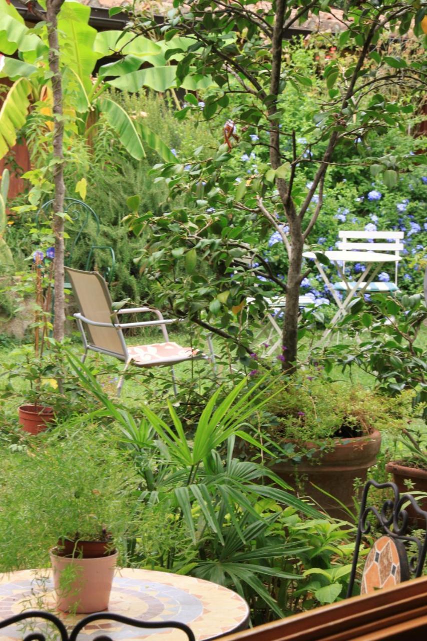 Studios Garden Terrace Oltrarno Florence Exterior photo